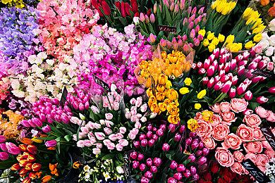 《灵魂骇客2》“艾罗”角色PV公布 8月25日发售